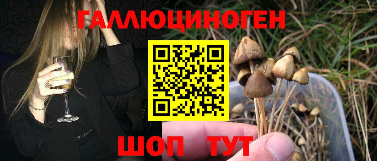 Нижний Новгород  Псилоцибиновые грибы прущие грибы  Псилоцибиновые грибы ЛСД  Вход с VPN 