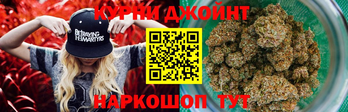 Канабис гибрид Нижний Новгород