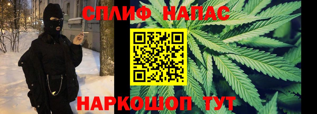 Бошки марихуана конопля  Вход с VPN  Канабис White Widow  Бошки Шишки планчик  Нижний Новгород 